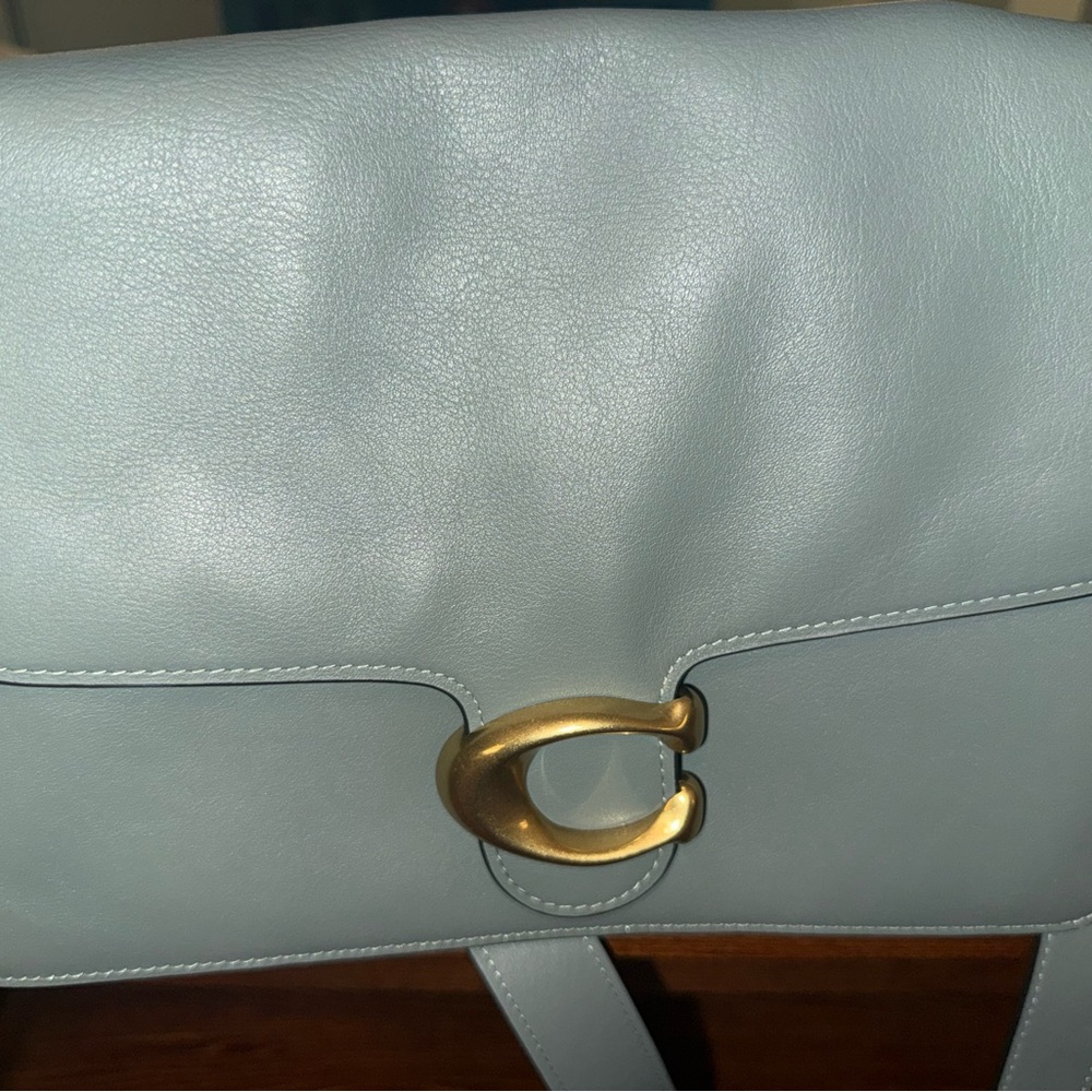Coach Sage Green Tabby 30 Crossbody Bag with Gold Chain - Picture 9 of 14